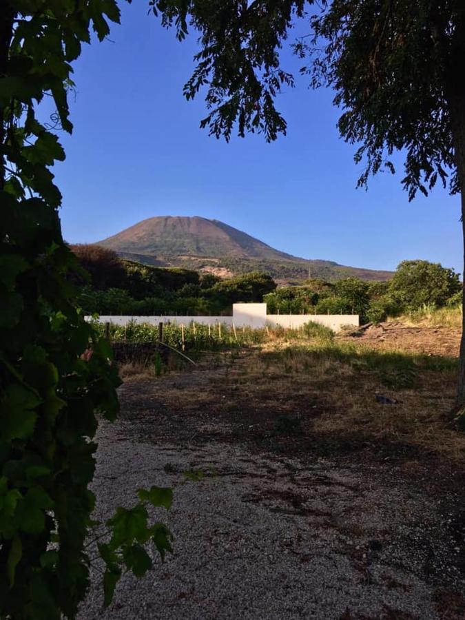 Villa Mazza Al Vesuvio Торе дел Греко Екстериор снимка