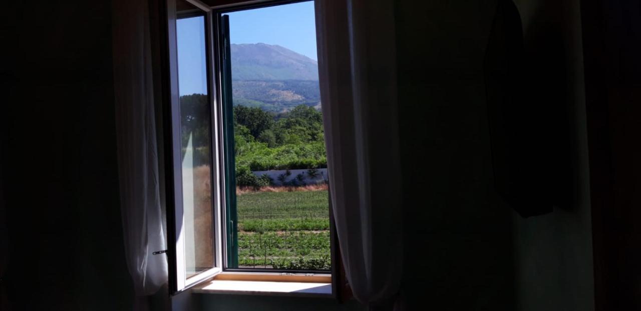 Villa Mazza Al Vesuvio Торе дел Греко Екстериор снимка